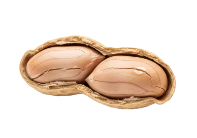 Imagen PNG para descargar